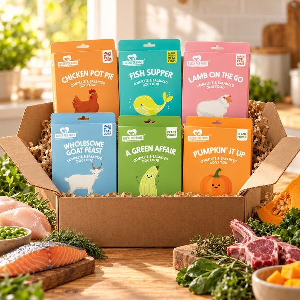 Dog Discovery Box — 6 Meals