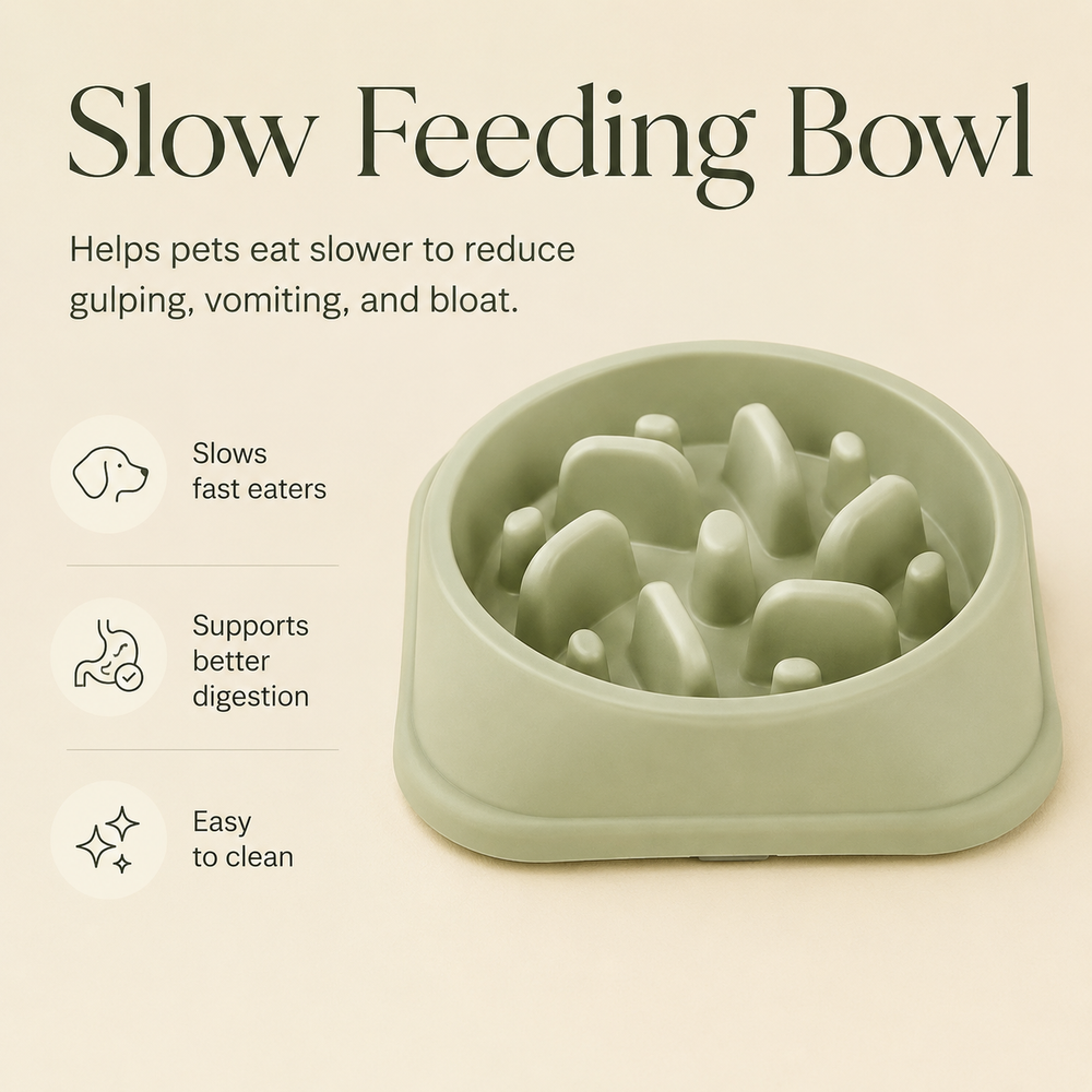 HeartyPaws slow feed bowl feature image