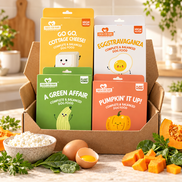 Egg & Cottage Cheese Variety Box — 6 Meals