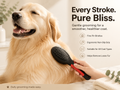 2 Side Brush product image