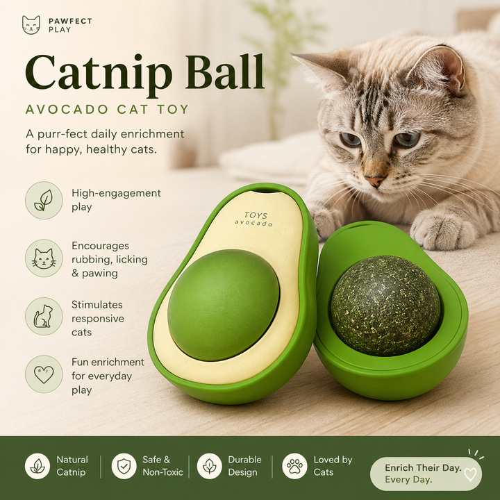 Catnip Ball