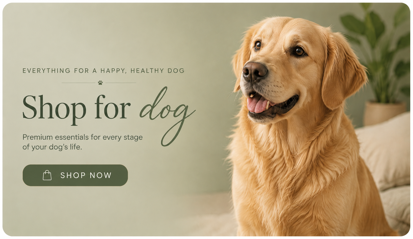 Shop dog products