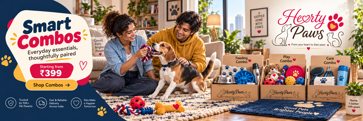 Explore the Playful Cat Activity Kit