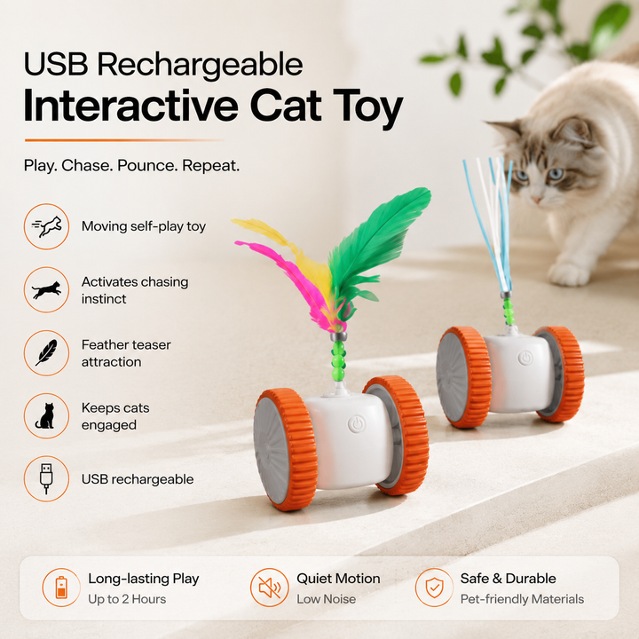 USB Rechargeable Interactive Car Toy
