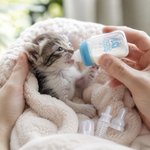 HeartyPaws baby pet feeder 60ml feature image