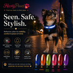 HeartyPaws Reflective Dog Collar product feature image