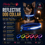 HeartyPaws Reflective Dog Collar lifestyle image for night walks