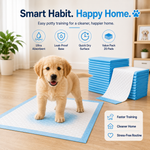 HeartyPaws Training Pads lifestyle image for puppy potty training