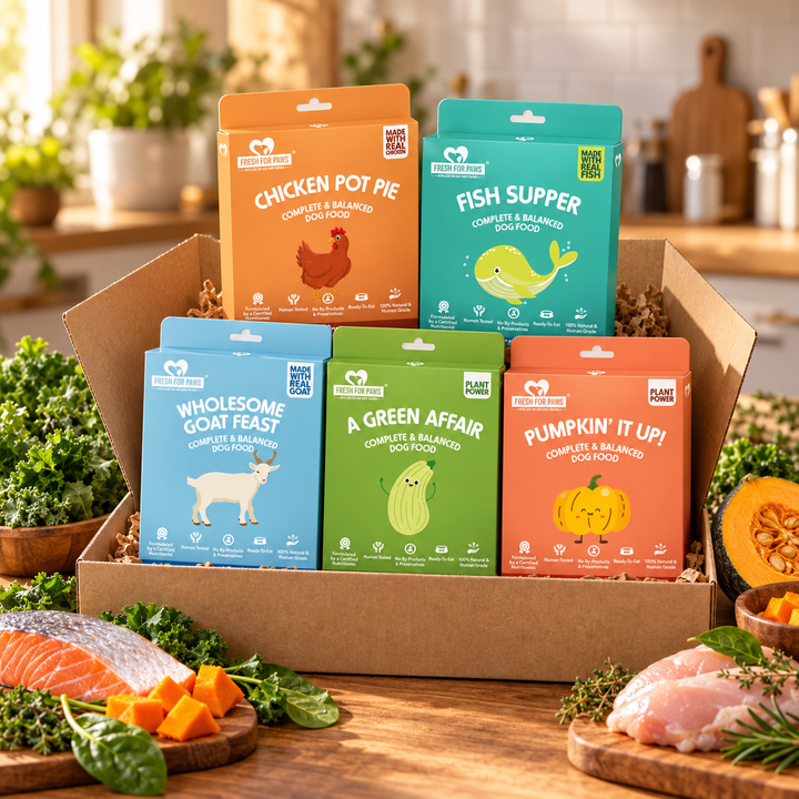Meat & Greens Box 12 meals bundle, real HeartyPaws recipe packs in a warm open-box scene; no pets