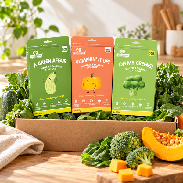 Plant Power Box — 6 Meals