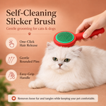 HeartyPaws self-cleaning slicker brush lifestyle image