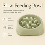 HeartyPaws slow feed bowl feature image