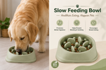 HeartyPaws slow feed bowl lifestyle image